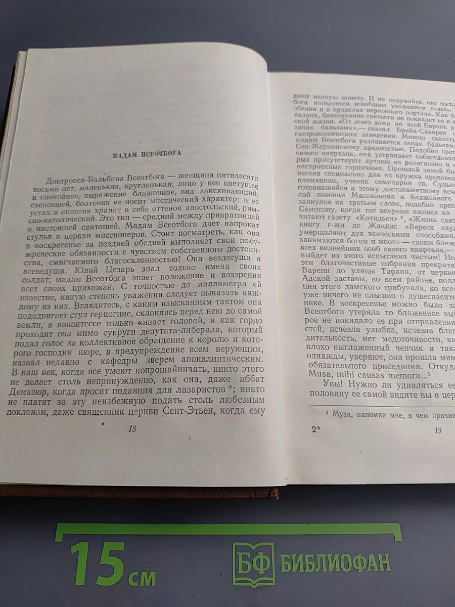 Очерки. Литературно-критические статьи. Избранные письма. Том 15