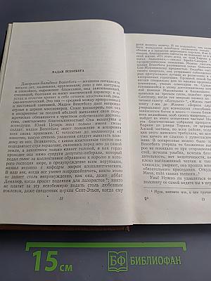 Очерки. Литературно-критические статьи. Избранные письма. Том 15