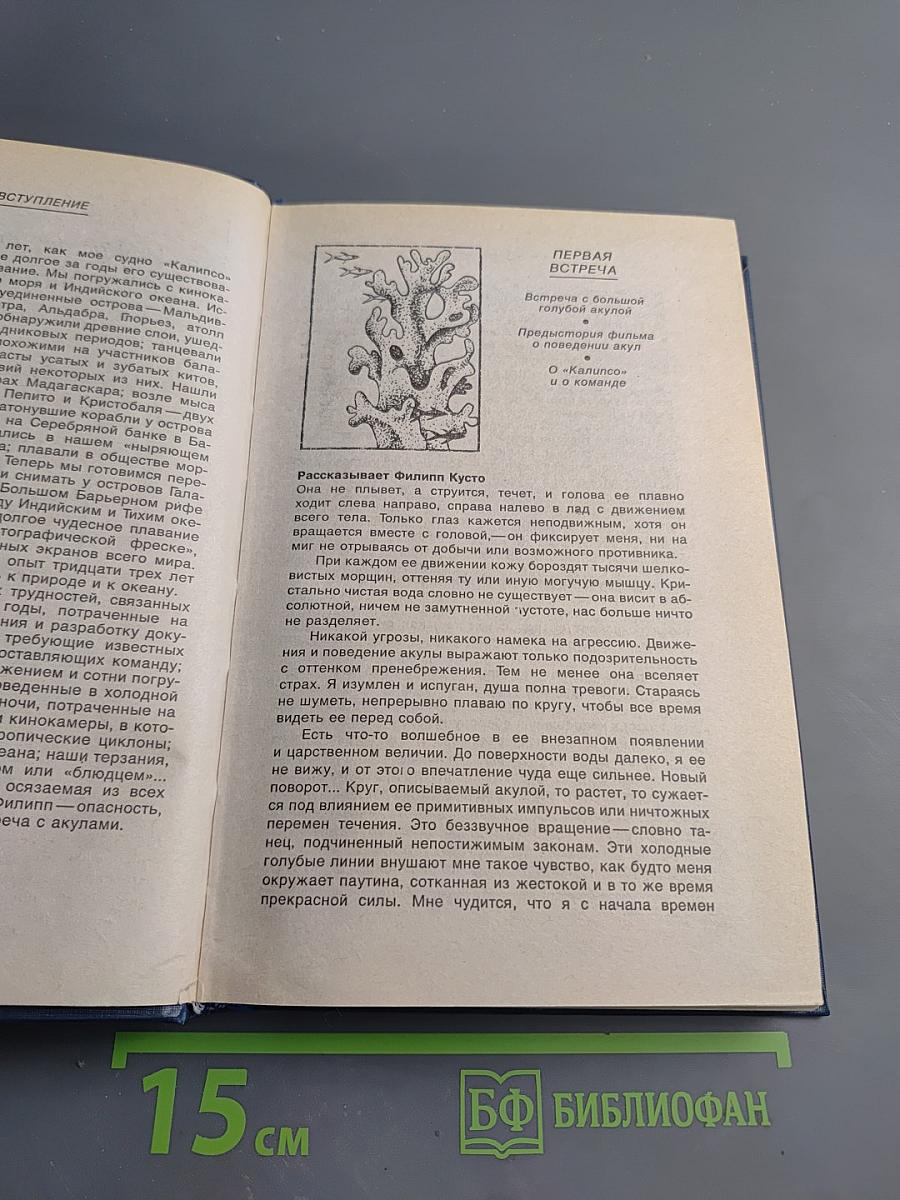 Подводный мир глазами Кусто