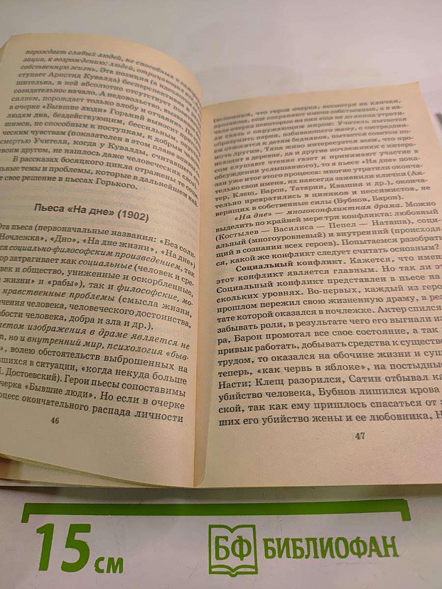 Домашний репетитор. Готовимся к экзамену по литературе