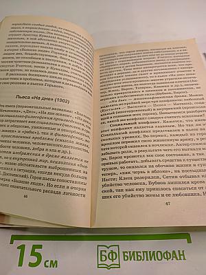 Домашний репетитор. Готовимся к экзамену по литературе