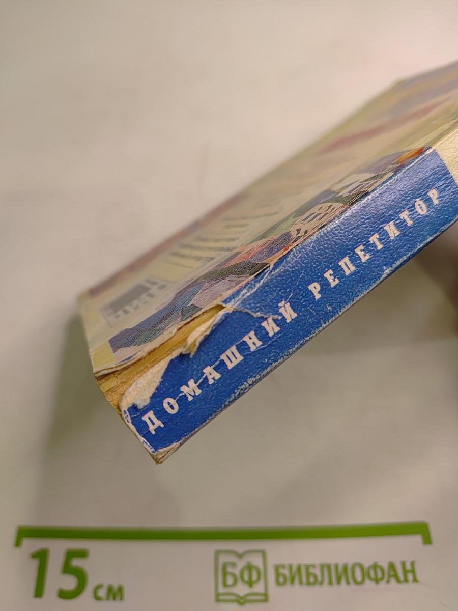 Домашний репетитор. Готовимся к экзамену по литературе