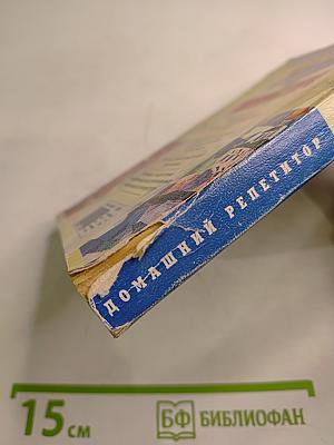 Домашний репетитор. Готовимся к экзамену по литературе