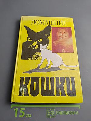 Домашние кошки