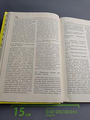 Домашние кошки