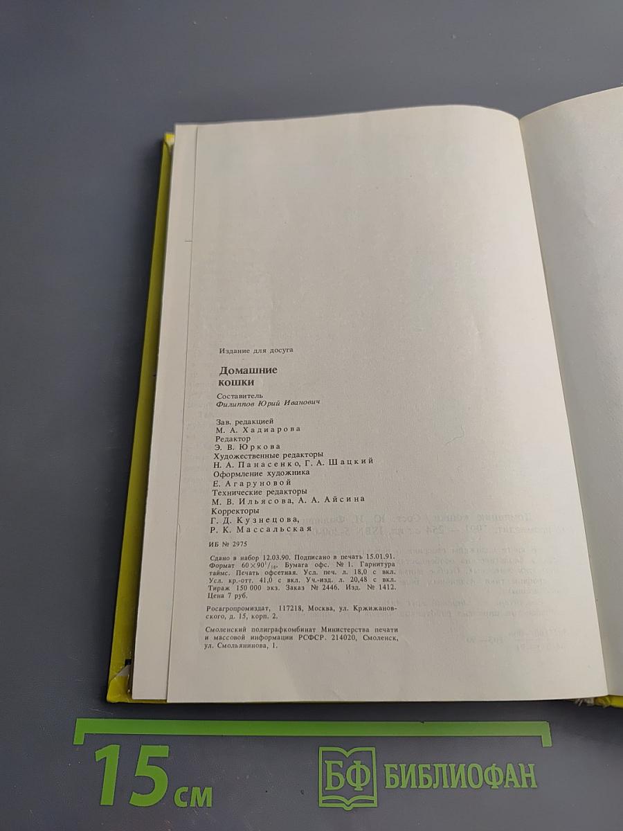 Домашние кошки