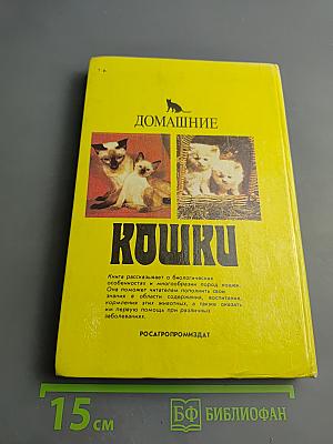 Домашние кошки