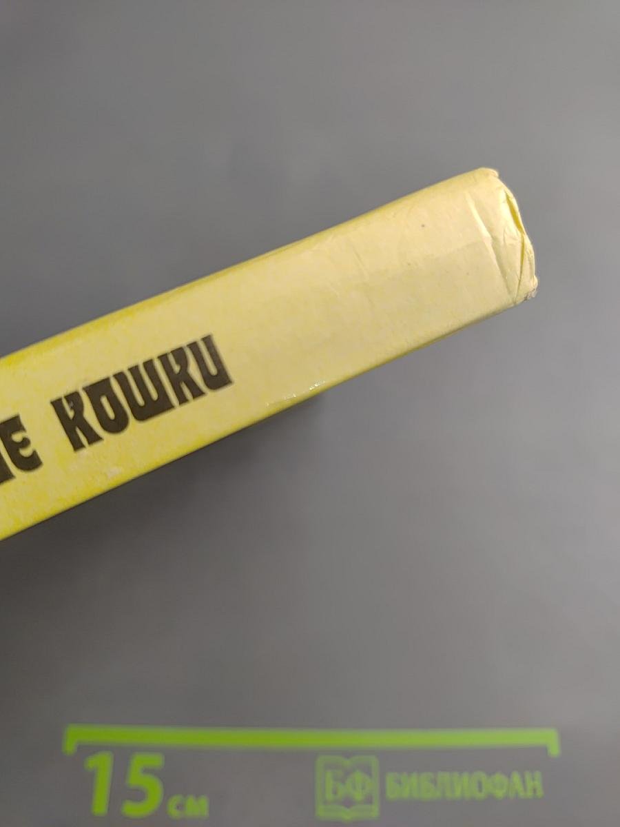 Домашние кошки