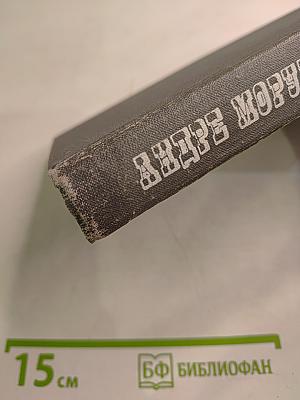 Олимпио, или Жизнь Виктора Гюго