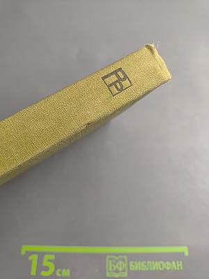 Горная звезда