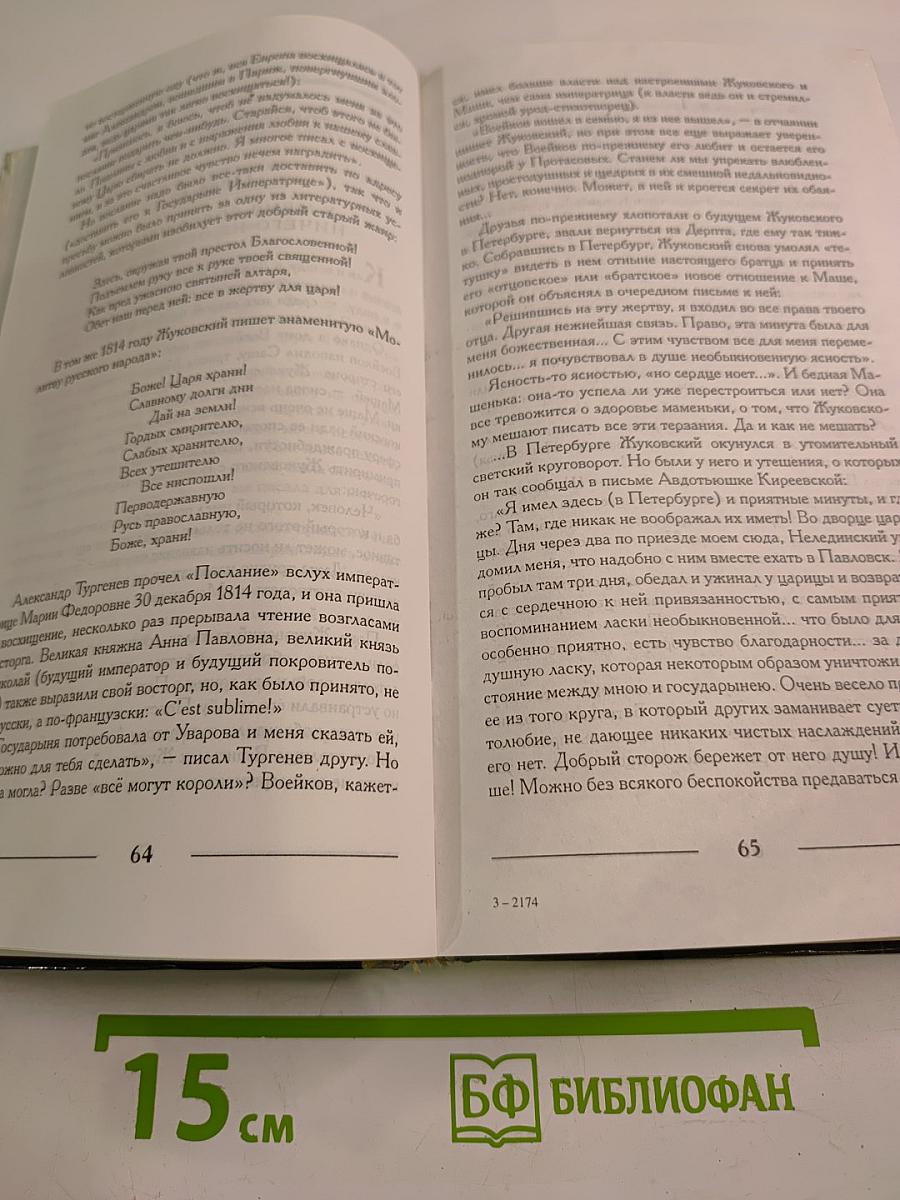 Царский наставник. Роман о Жуковском