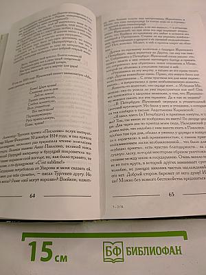 Царский наставник. Роман о Жуковском
