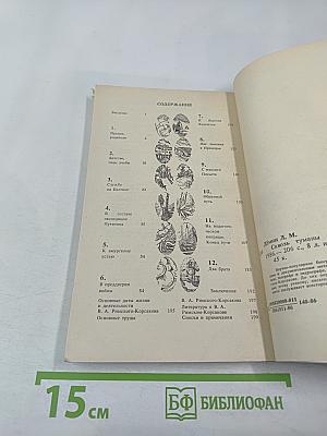 Сквозь туманы и штормы (мореплаватель Воин Андреевич Римский-Корсаков)