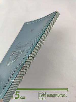 Сквозь туманы и штормы (мореплаватель Воин Андреевич Римский-Корсаков)