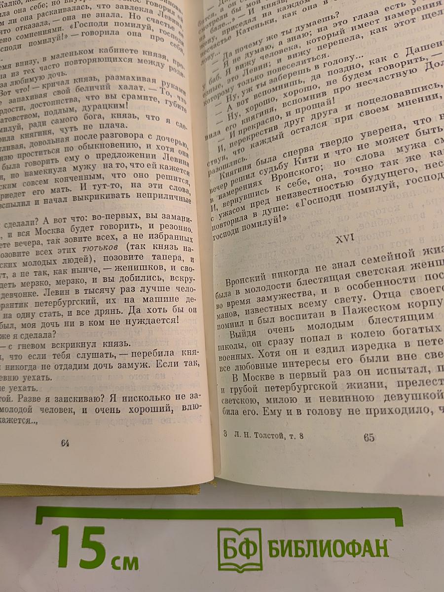 Анна Каренина. Роман в восьми частях. Том восьмой