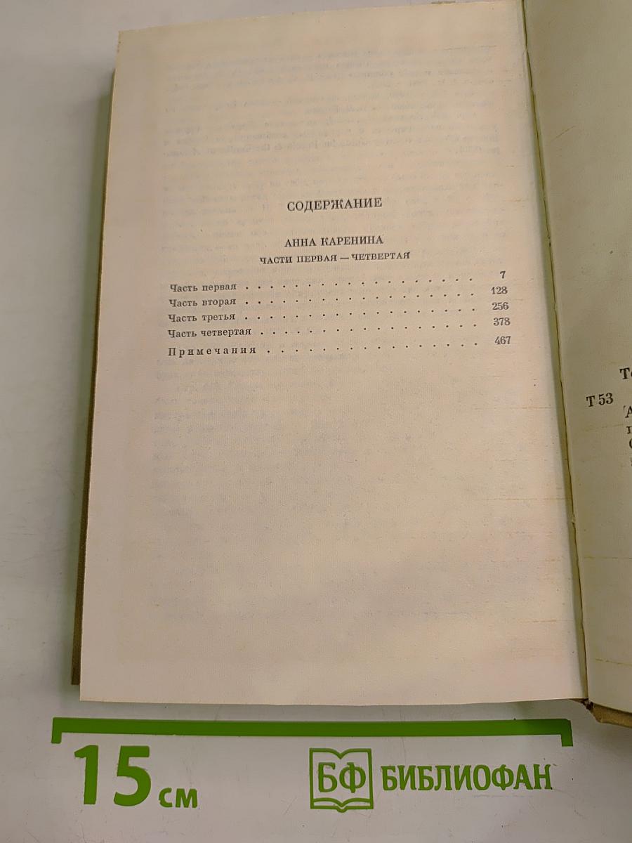 Анна Каренина. Роман в восьми частях. Том восьмой