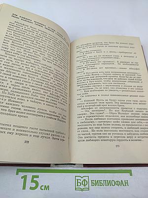 Сто один день, или Приключения Замана