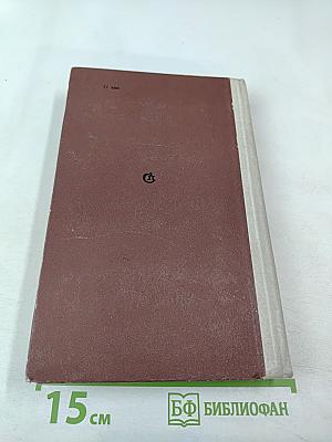 Сто один день, или Приключения Замана