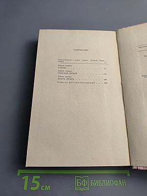 Знаменосцы