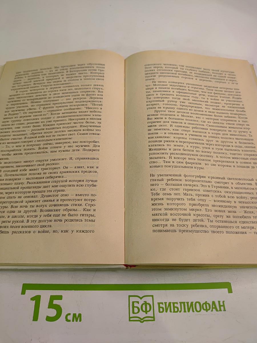Владимир, или Прерванный полёт