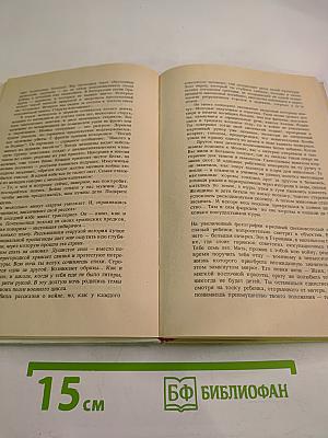 Владимир, или Прерванный полёт