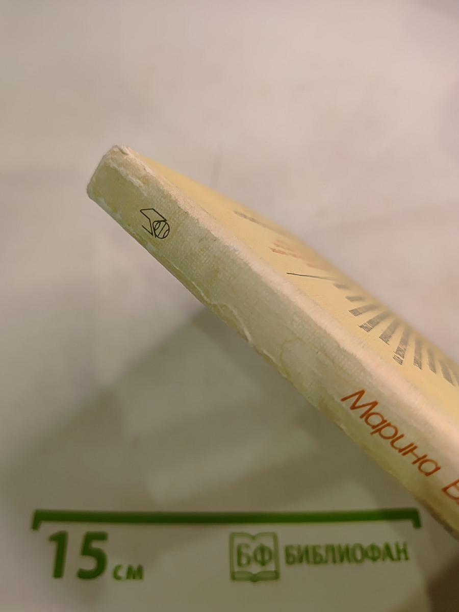 Владимир, или Прерванный полёт