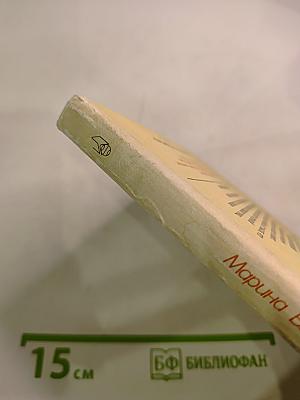 Владимир, или Прерванный полёт