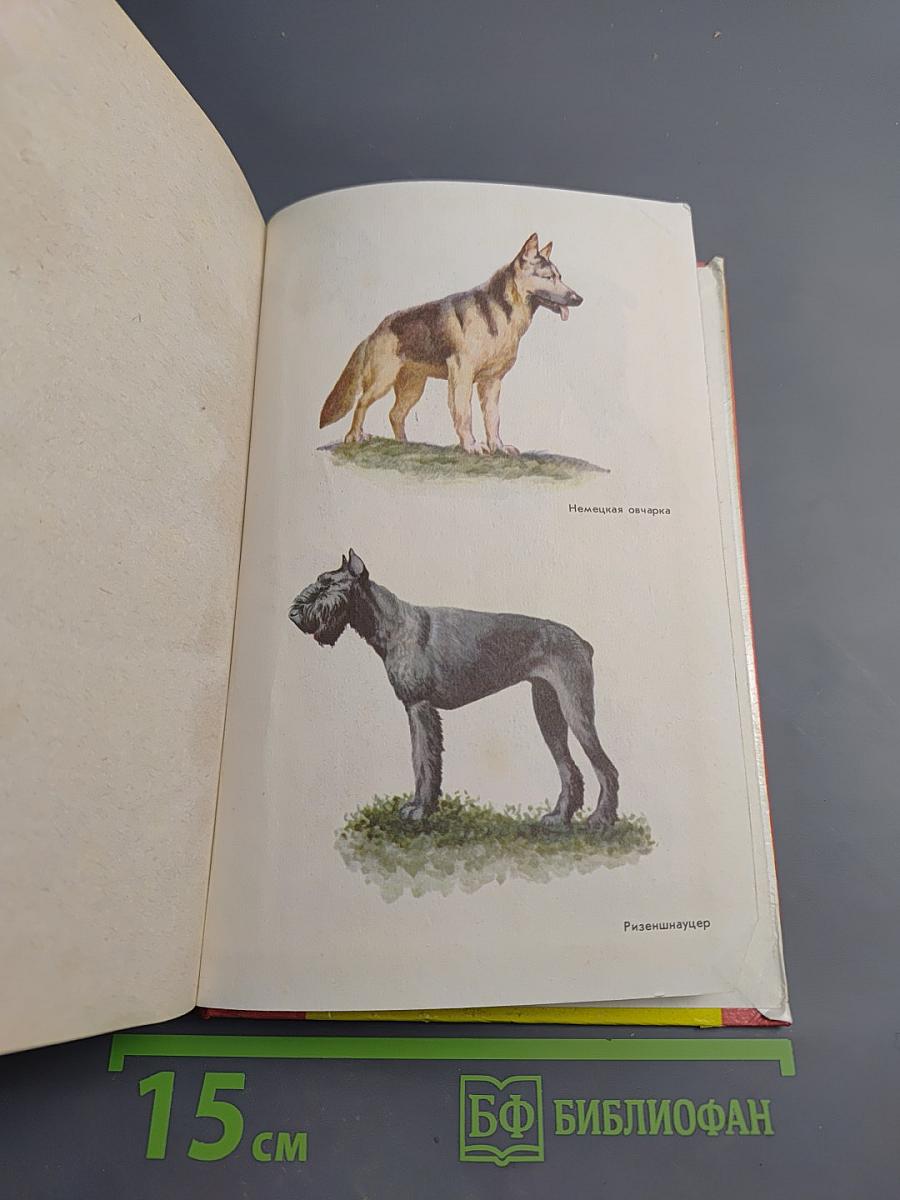 Служебное собаководство