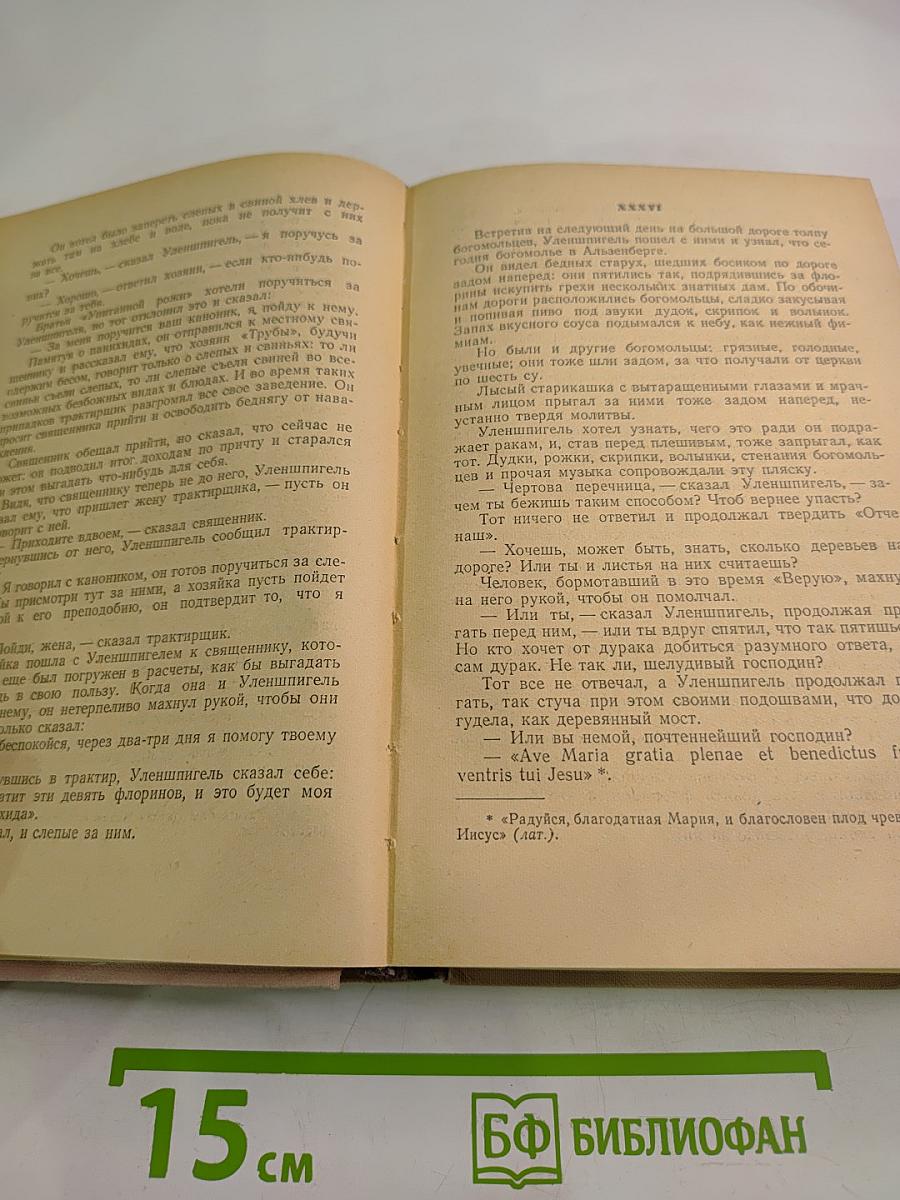 Легенда об Уленшпигеле и Ламме Гудзаке, их приключениях отважных, забавных и достославных во Фландрии и иных странах