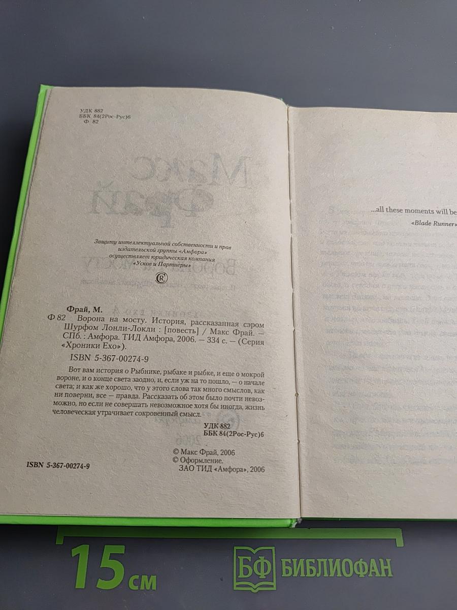 Ворона на мосту