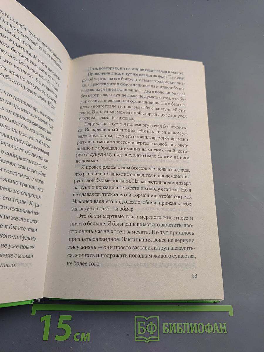 Ворона на мосту