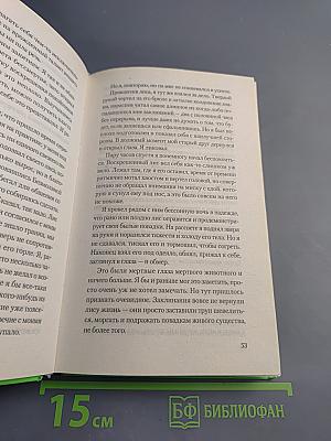 Ворона на мосту