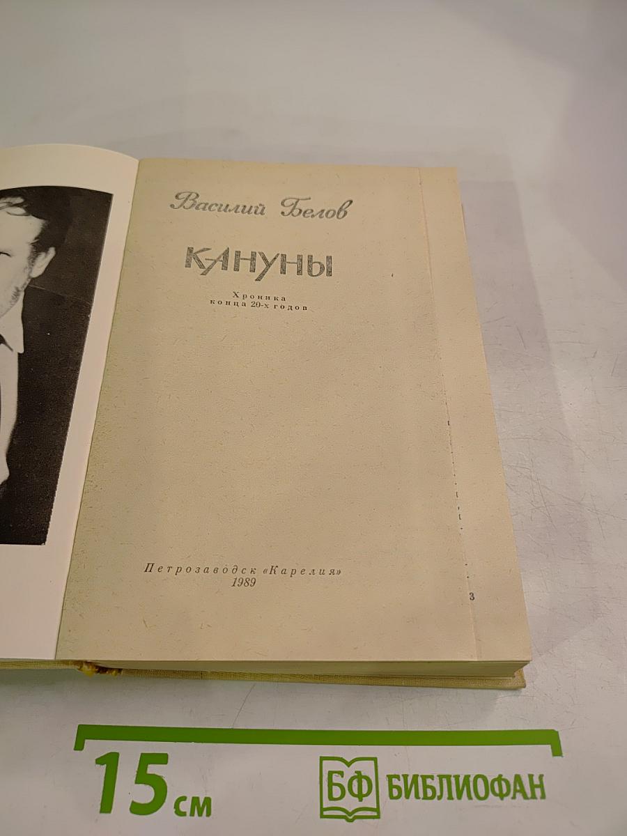 Кануны: Хроника конца 20-х годов