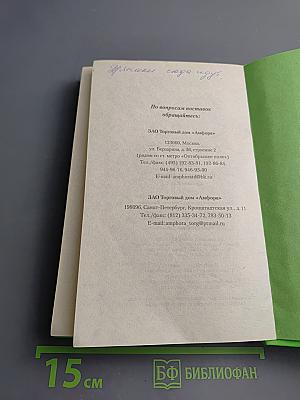 Ворона на мосту