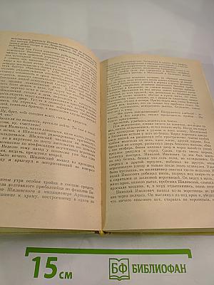 Кануны: Хроника конца 20-х годов