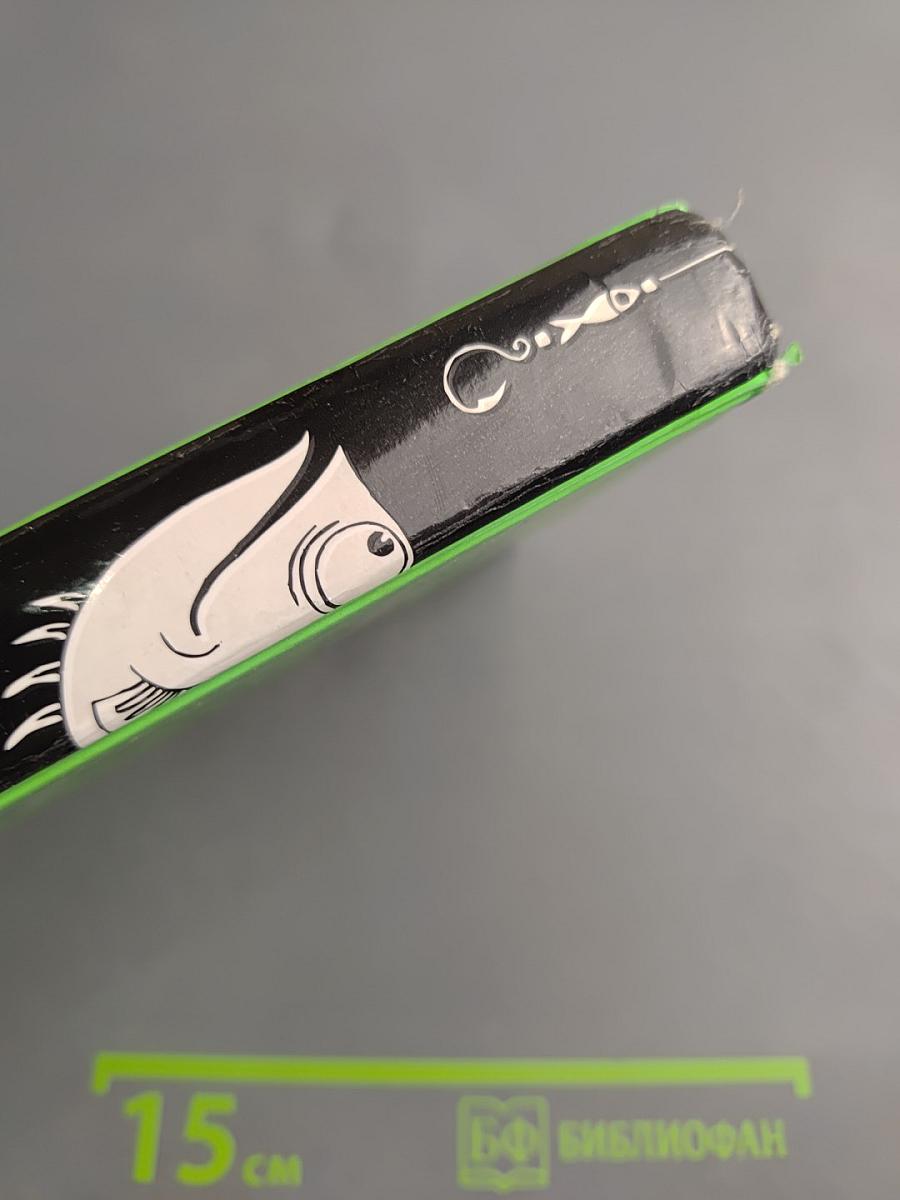 Ворона на мосту