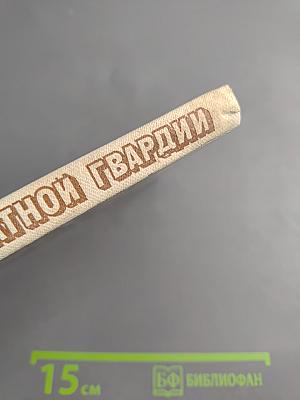 В рядах шахматной гвардии