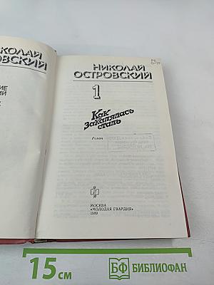 Как закалялась сталь. Том 1