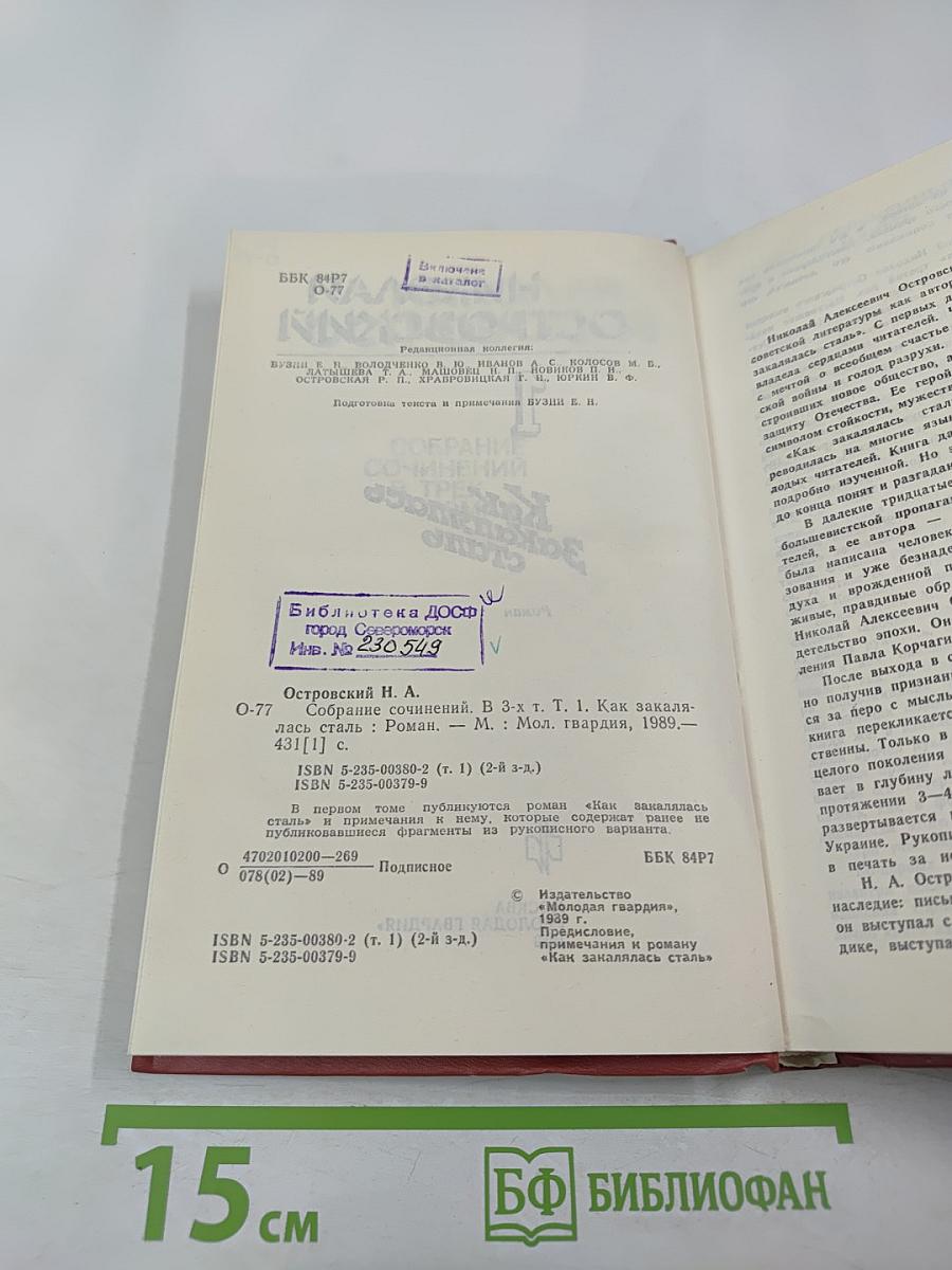 Как закалялась сталь. Том 1