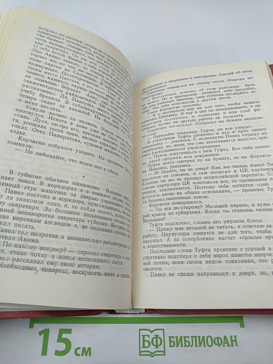 Как закалялась сталь. Том 1