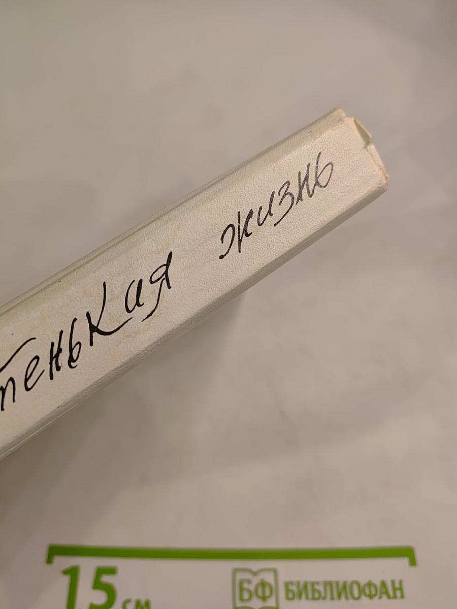 Чистенькая жизнь