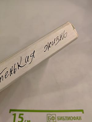 Чистенькая жизнь