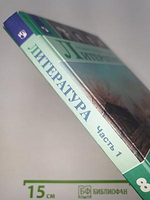 Литература. 8 класс. Часть 1