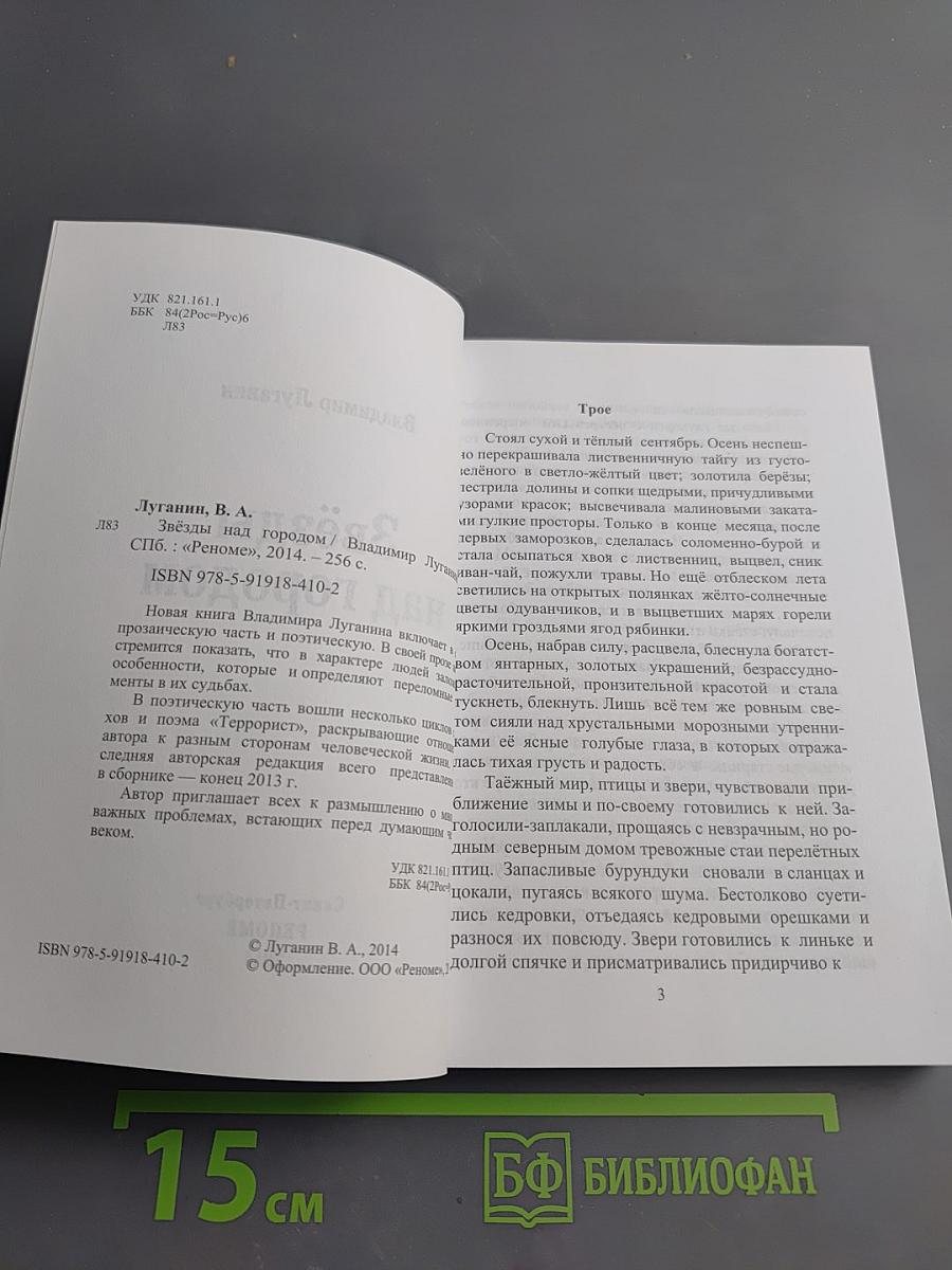 Звёзды над городом
