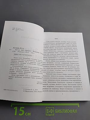 Звёзды над городом
