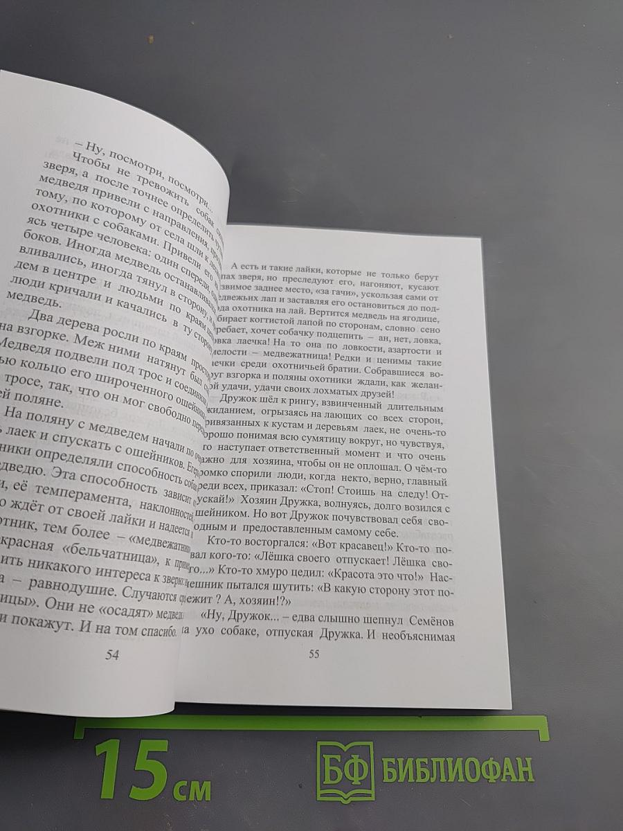 Звёзды над городом