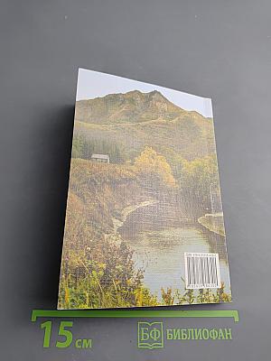 Звёзды над городом