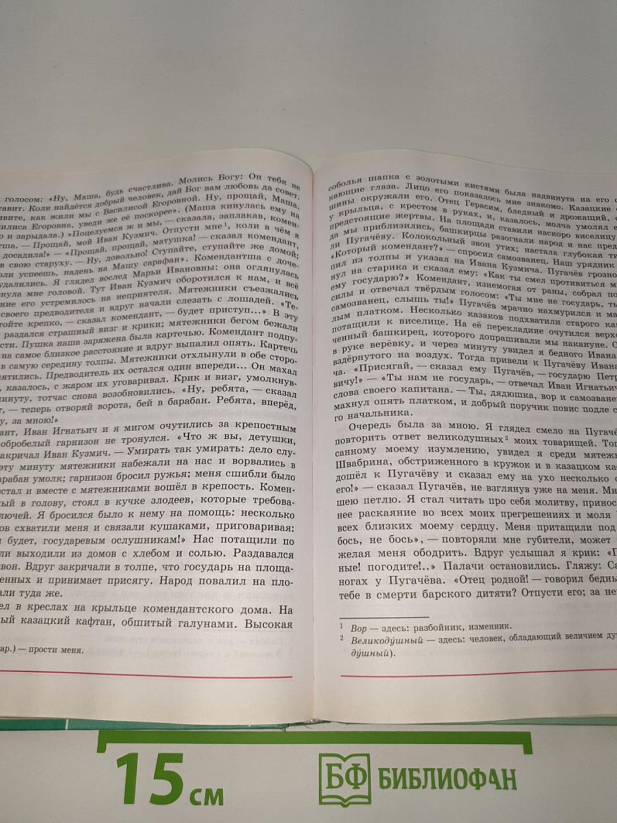 Литература. 8 класс. Часть 1
