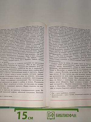 Литература. 8 класс. Часть 1