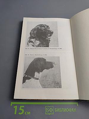 ABC der Hundehaltung